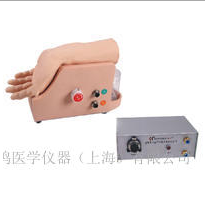 心肺復(fù)蘇模型